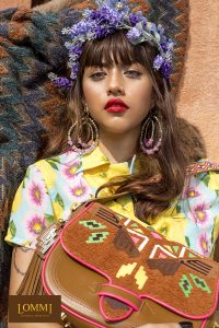 lommi-6614b_resize_logo